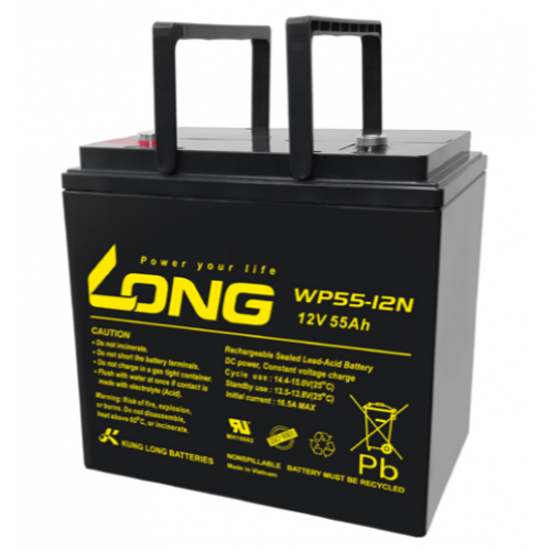 ẮC QUY KÍN KHÍ (VRLA AGM) LONG 12V-55Ah, WP55-12N