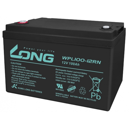 ẮC QUY KÍN KHÍ (VRLA AGM) LONG 12V-100Ah, WPL100-12RN