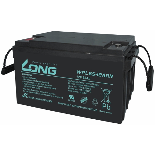 ẮC QUY KÍN KHÍ (VRLA AGM) LONG 12V-65Ah, WPL65-12ARN